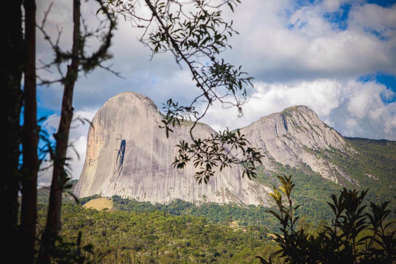 Rabo Do Lagarto Pedra Azul (Espirito Santo)